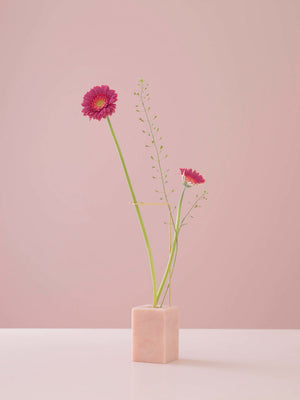 POSTURE N.1 PORTUGAL PINK