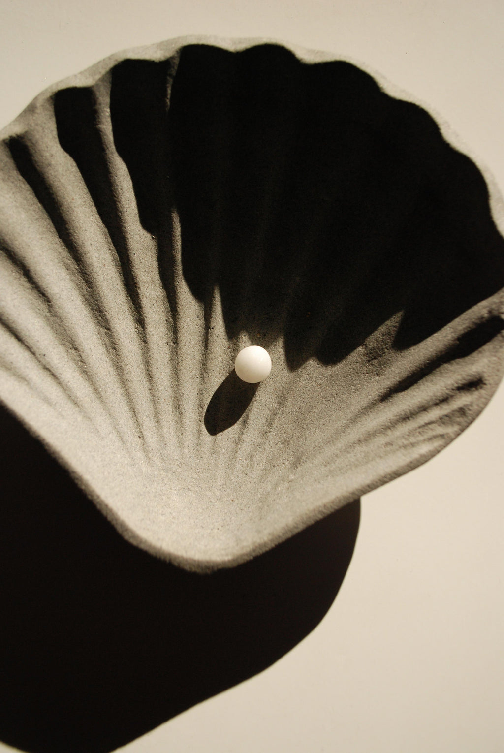 THE SHELL N.2